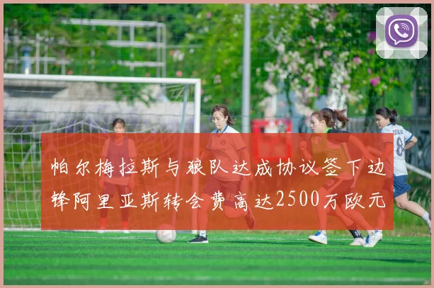 帕尔梅拉斯与狼队达成协议签下边锋阿里亚斯转会费高达2500万欧元