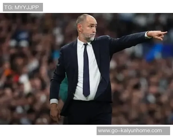 范德法特认为斯科特帕克是热刺新帅最佳人选不支持波切蒂诺回归 范德法特认为斯科特帕克是热刺新帅最佳人选不支持波切蒂诺回归